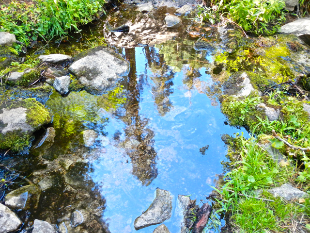 Reflections in one of the pools of water along the route. Photo/Kathryn Reed