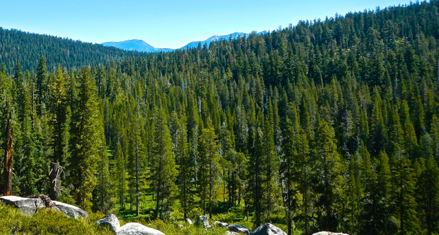 At times views are expansive, other times its closed in with tree. Photo/Kathryn Reed