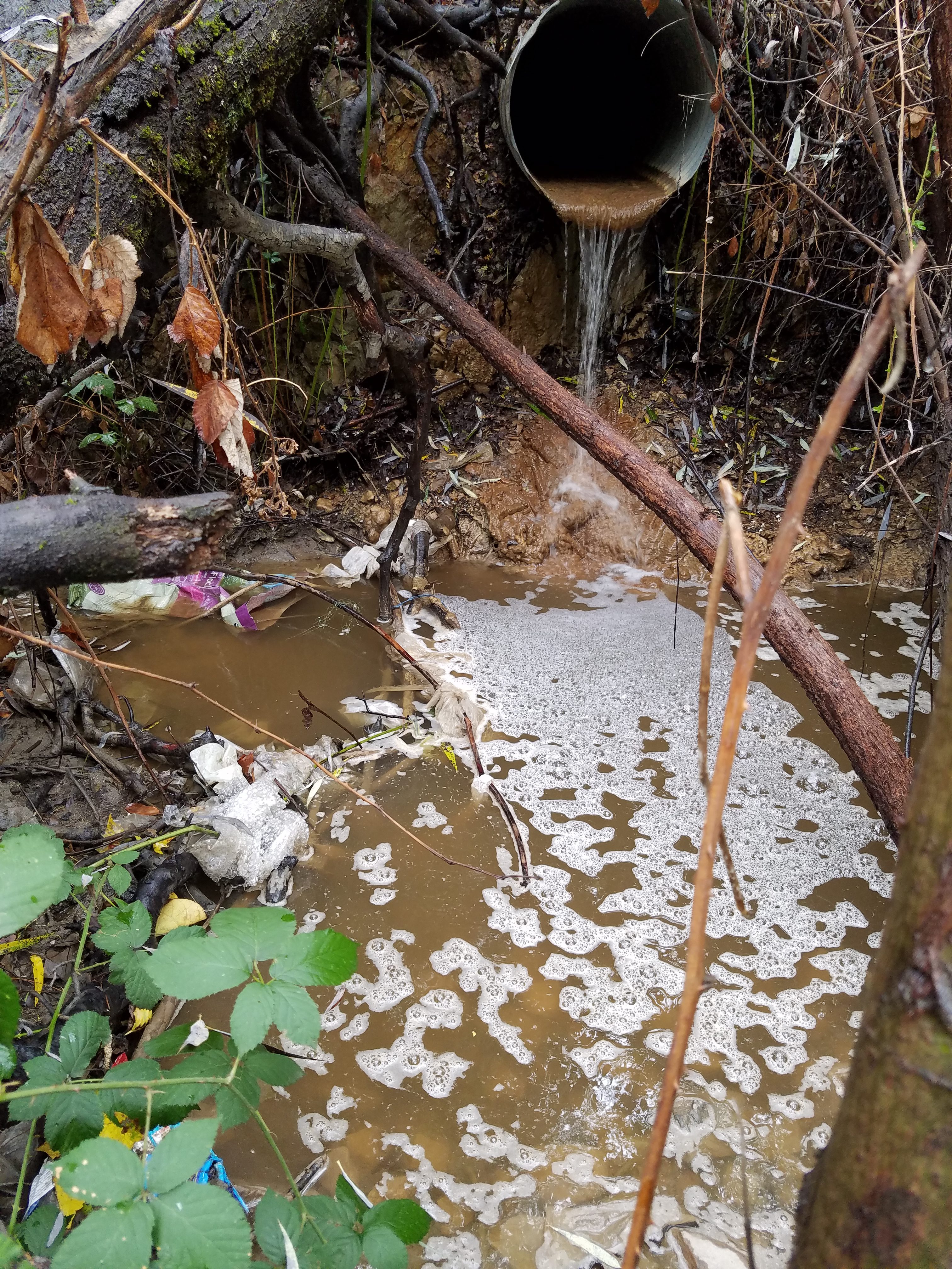 October rains brought the caustic water problem on the West Slope to the surface again. Photo/Provided