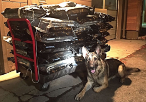 Chase poses with his find in Truckee. Photo/Provided