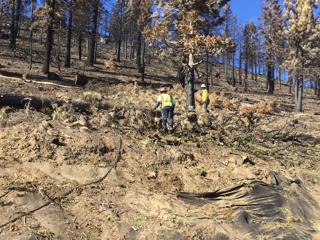 Crews on Nov. 6 try to stabilize the burn scar left from the Emerald Fire on Tahoe's South Shore. Photo/LTN