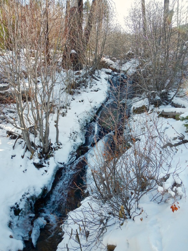 The waterfall at Van Sickle Bi-state Park on Nov. 25. Photo/Kathryn Reed