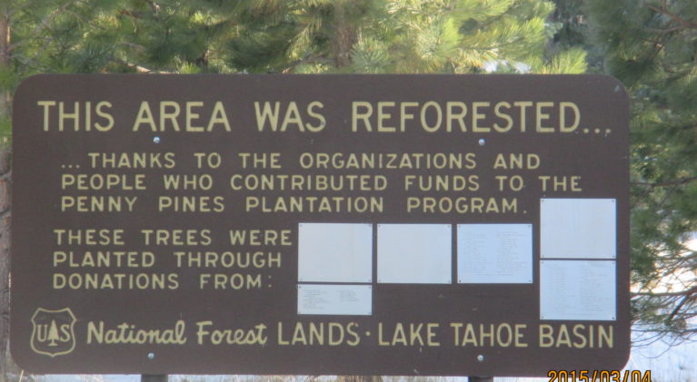 Letter: Memorial forest felled for Hwy. 28 rerouting