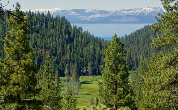 Disappearing Sierra meadows bad news for water