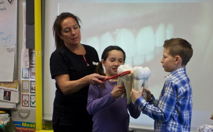 Dental care — lessons for every grade level