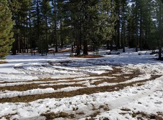 Meadow damage from 4-wheeler