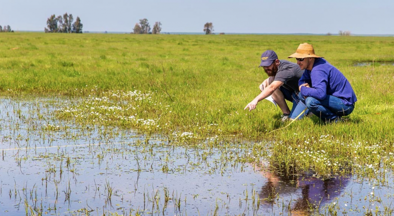 Drones, wireless sensors take water research to new level