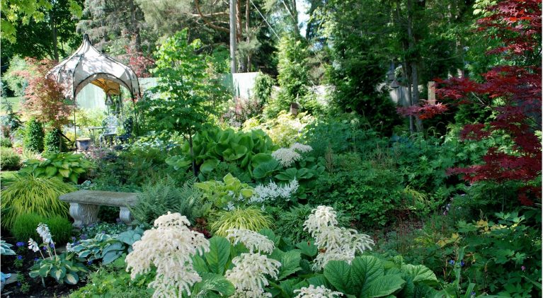 Shade gardening does not have to be boring