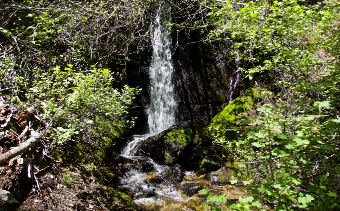 Genoa Falls dances from the rugged brush